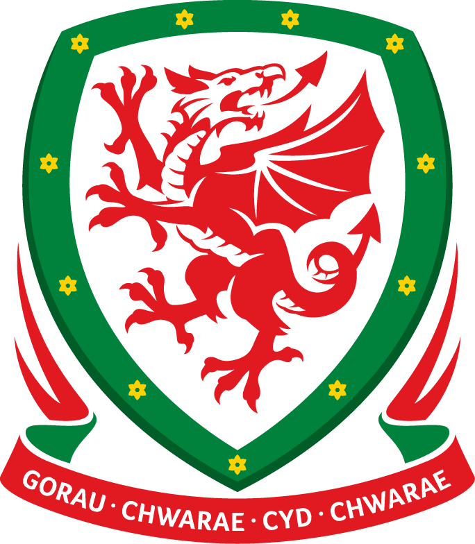 Copyright sportslogos.net - https://www.sportslogos.net/logos/view/we6t9kh3e0fbwojl1jxn/_Wales/1954/Primary_Logo
Wales Primary Logo History
Wales Primary Logo (UEFA) used from 2010-Pres