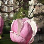 Middle Temple Photography Competition 2026