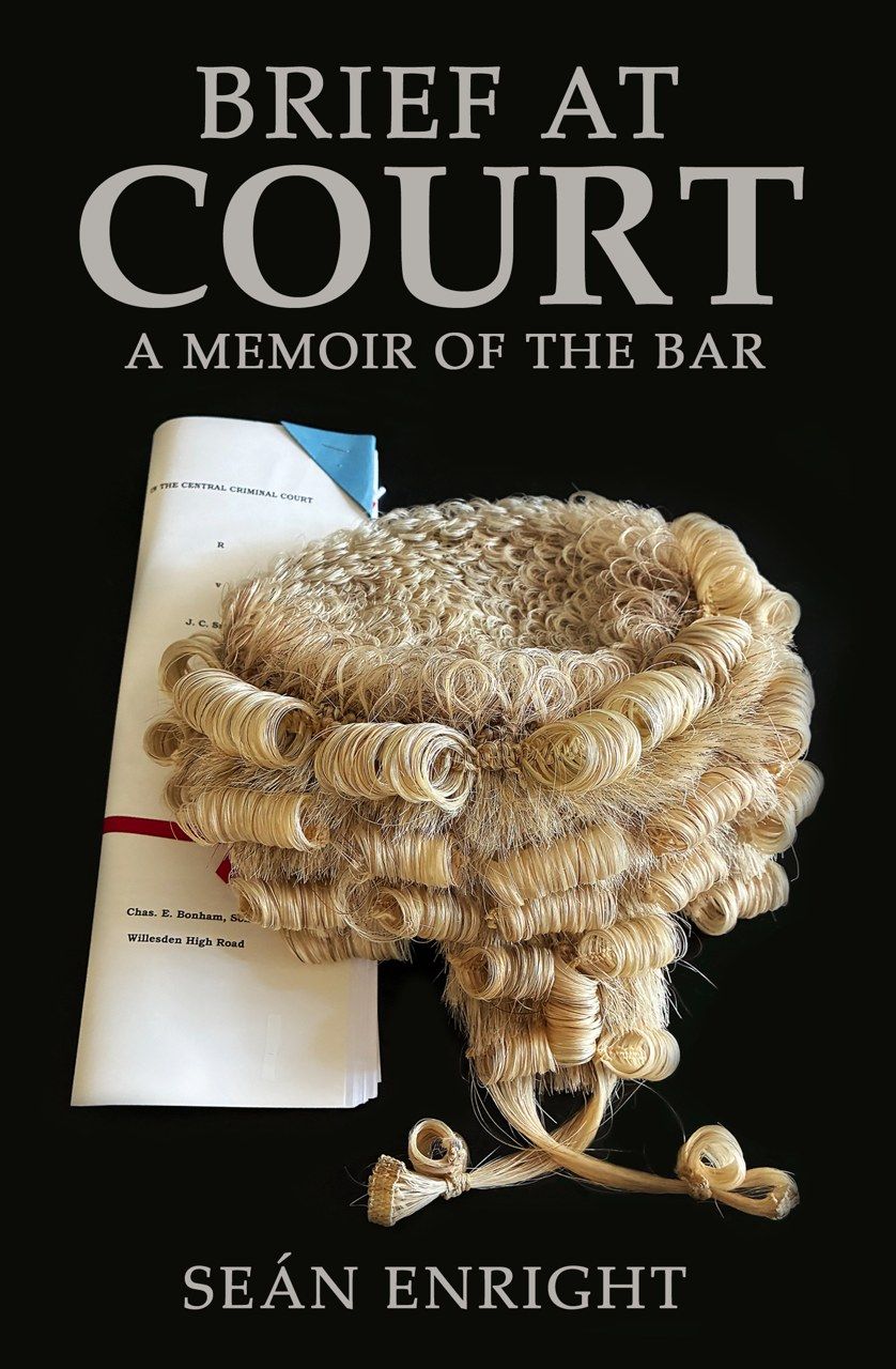 Brief at Court Book Cover