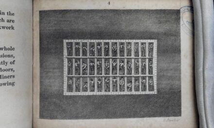 Twenty Years at Middle Temple Library